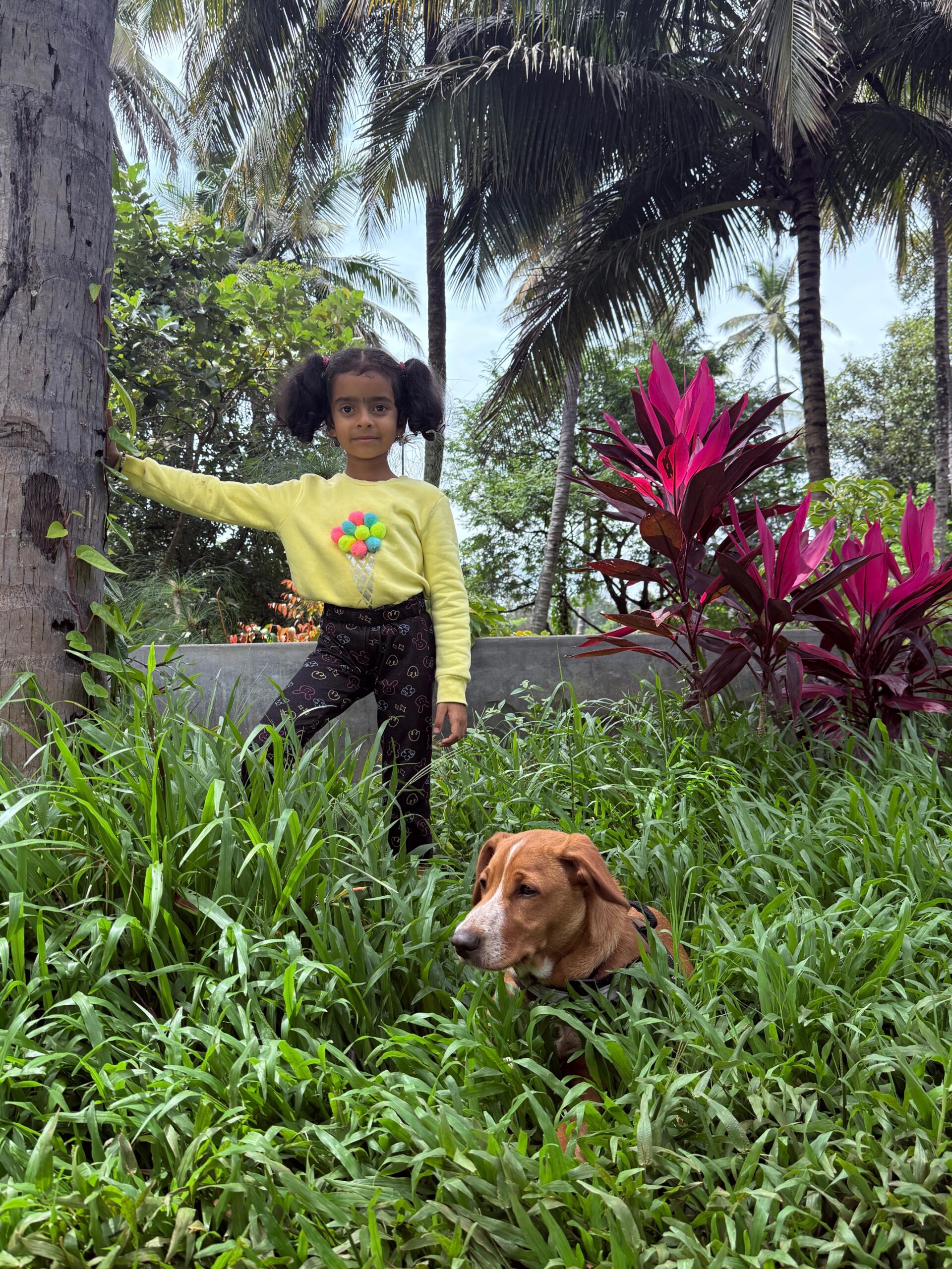Dhruthi and Veera on a treasure hunt bingo — finding the coconut tree